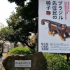 <b>Foto 1 da notícia:</b><br>Veja fotos da exposição no Museu de Arte Moderna de Saitama, Japão